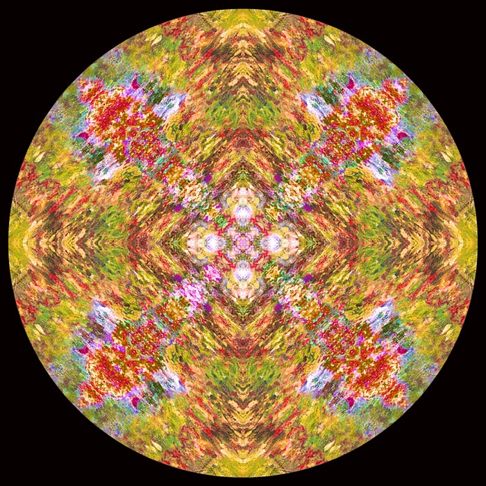 Mandala Chakra 1E
